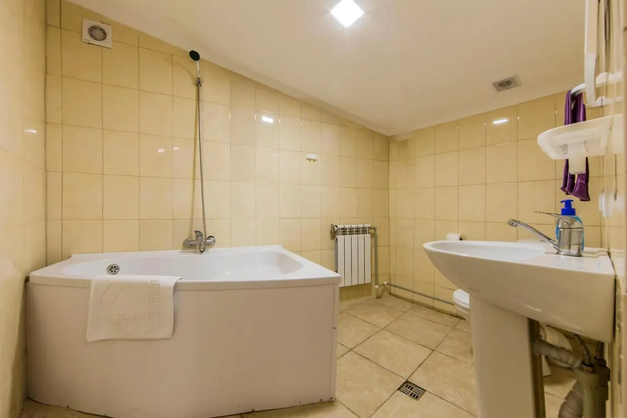 Apartment Комфортные Апартаменты В Самом Центре Киева Возле М.Золотые Ворота Ukraine
